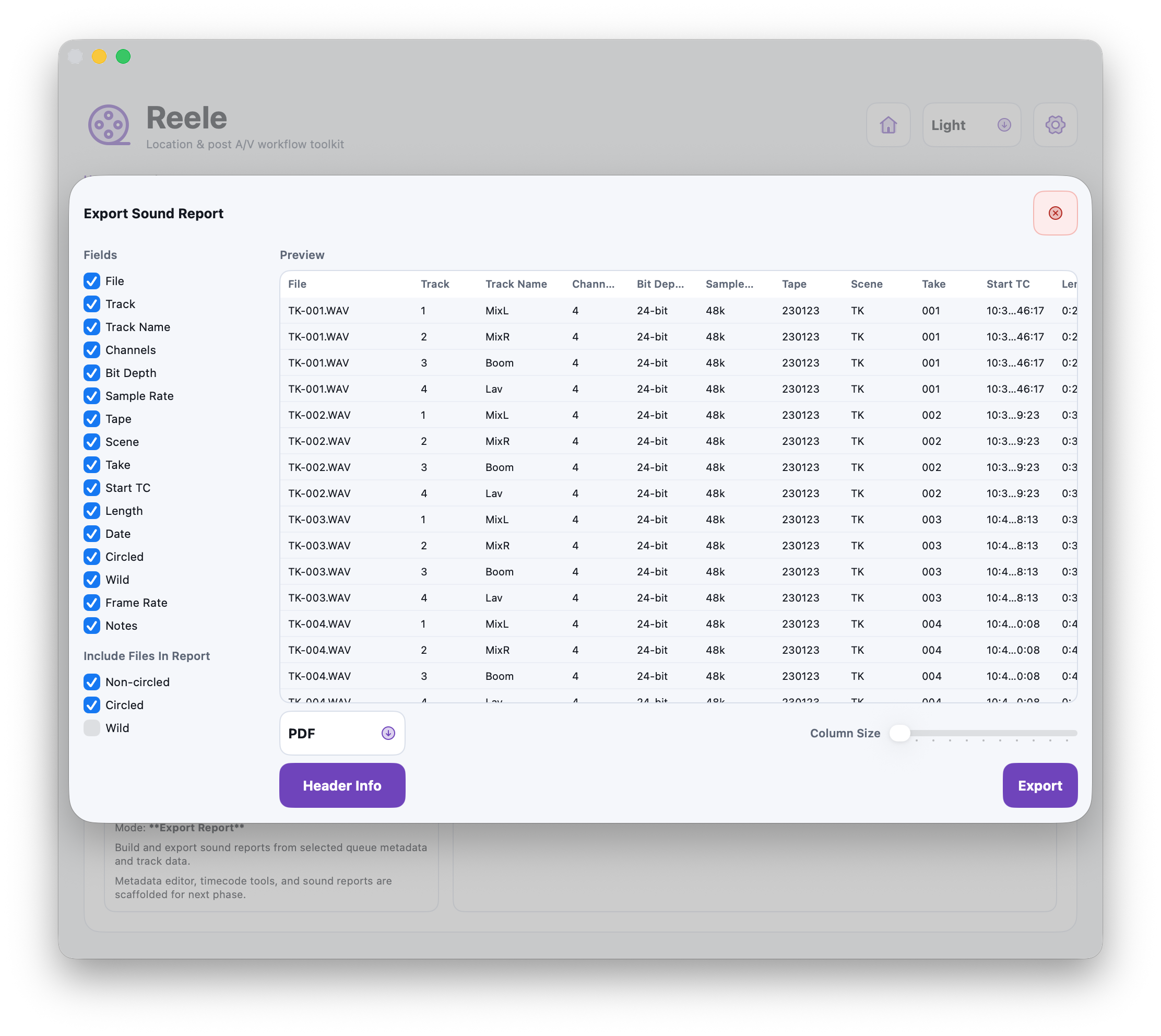 Reele PolyWav report preview showing export settings and track metadata